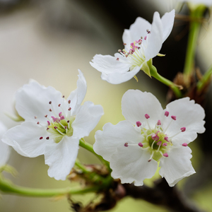 坠落名模AV日记在线观看
